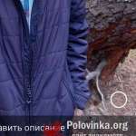 Андрей, 53 года